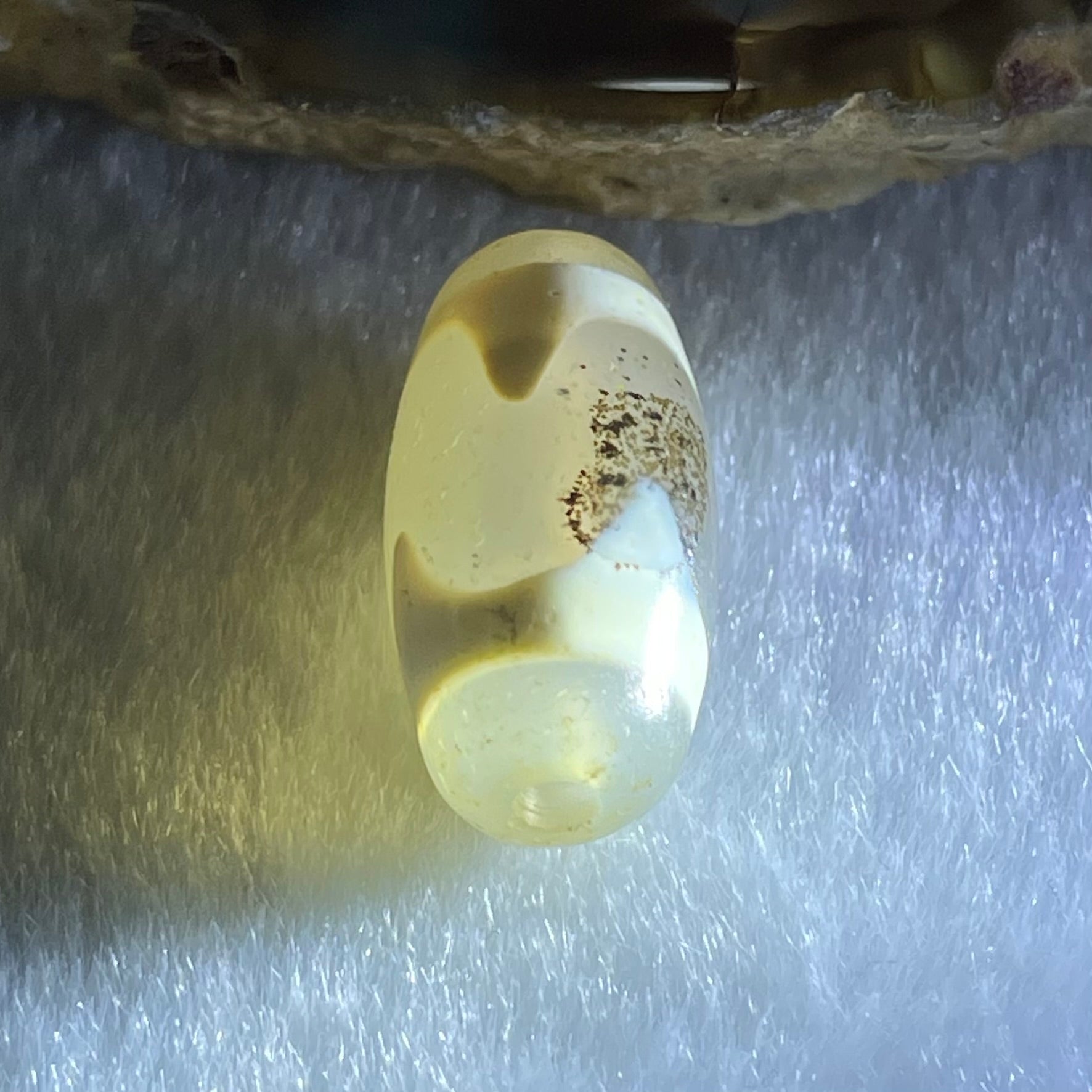 Natural Powerful Tibetan Old Oily Agate Tiger Tooth Daluo Dzi Bead Heavenly Master (Tian Zhu) 虎呀天诛 3.00g 20.1 by 10.1mm - Huangs Jadeite and Jewelry Pte Ltd