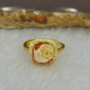 Natural Honey Yellow Amber with Milk Inclusions in S925 Sliver Gold Color Ring (Adjustable Size) 2.32g 9.7 by 9.0 by 4.0mm - Huangs Jadeite and Jewelry Pte Ltd