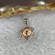 Meteorite in 925 Sliver Pendent (Rose Gold Color) 3.20g 14.1 by 13.2 by 8.0 mm - Huangs Jadeite and Jewelry Pte Ltd