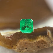 Natural Colombia Vivid Green Emerald (Beryl) Cut-Cornered Rectangular Step cut 0.41ct 4.4 by 4.1 by 3.2mm - Huangs Jadeite and Jewelry Pte Ltd