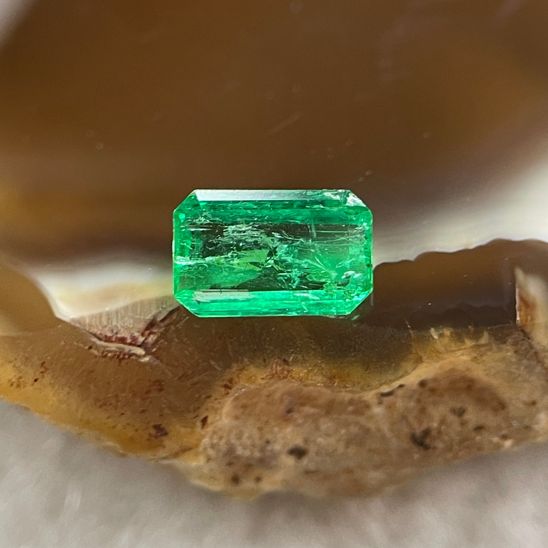Natural Colombia Vivid Green Emerald (Beryl) Cut-Cornered Rectangular Step cut 0.42ct 6.3 by 3.9 by 1.9mm - Huangs Jadeite and Jewelry Pte Ltd