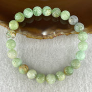 Natural Green Serpentine Beads Bracelet 21.40g 16.5cm 8.7mm 23Beads - Huangs Jadeite and Jewelry Pte Ltd