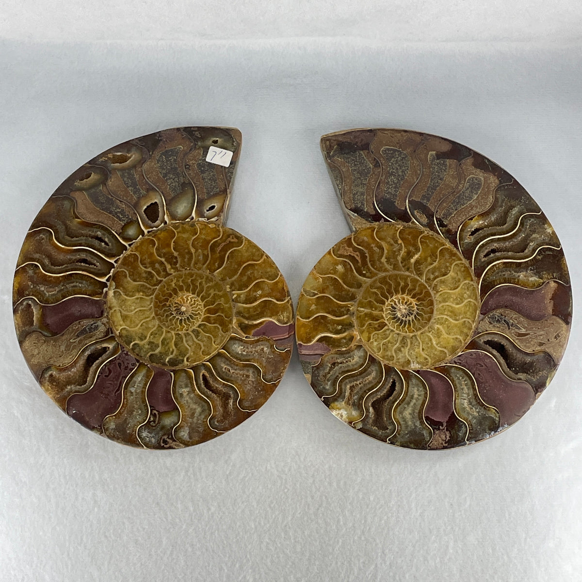 Natural Ammonite Ammonoid Fossil Pair Display Specimen | 185.0mm Mirror-Matched Chamber Matrix (1,146.2g Combined | Each About 185.0x147.5x39.4mm)
