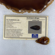 Natural Amber for Setting 1.46g 32.7 by 18.6 by 4.7mm - Huangs Jadeite and Jewelry Pte Ltd