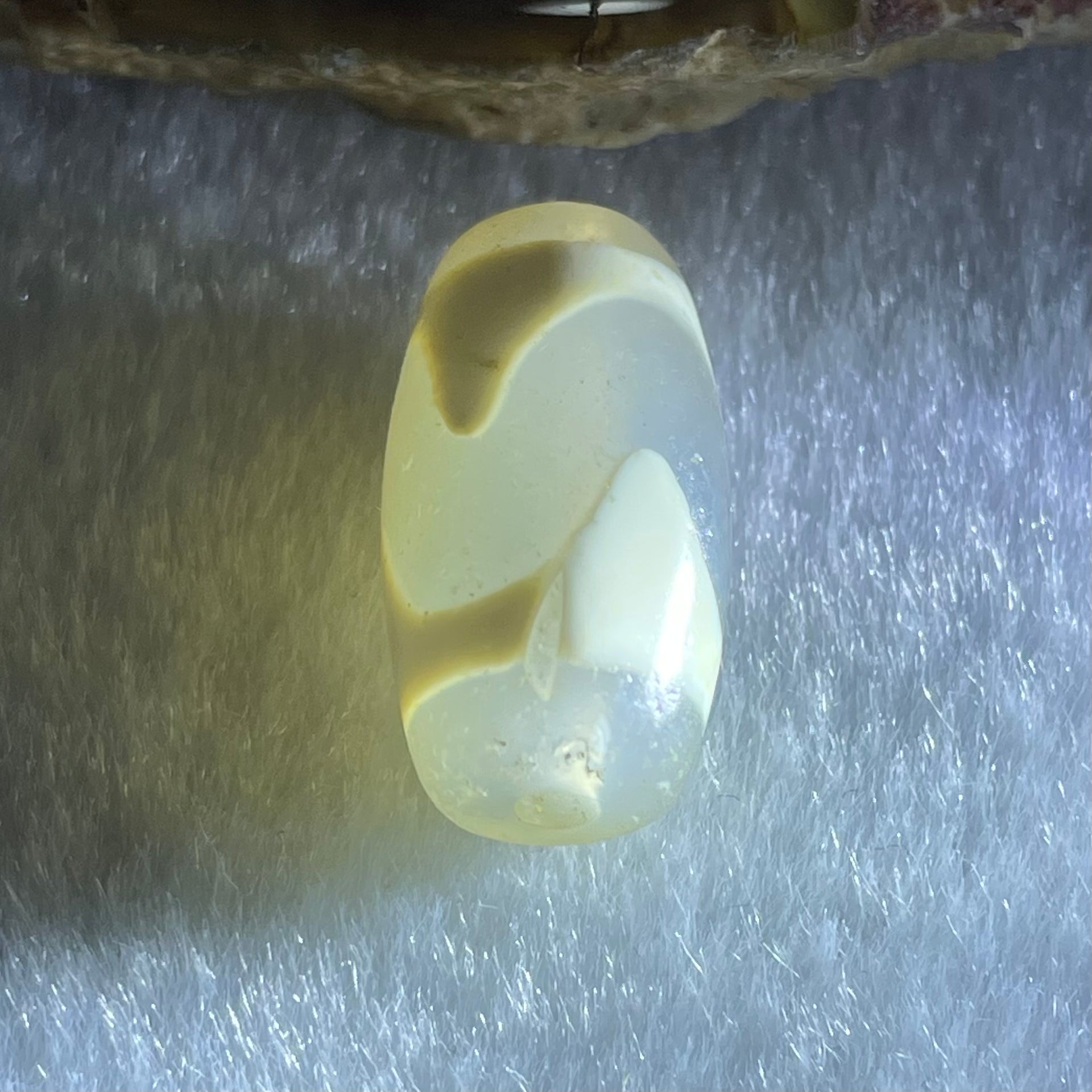 Natural Powerful Tibetan Old Oily Agate Tiger Tooth Daluo Dzi Bead Heavenly Master (Tian Zhu) 虎呀天诛 3.31g 19.8 by 10.5mm - Huangs Jadeite and Jewelry Pte Ltd