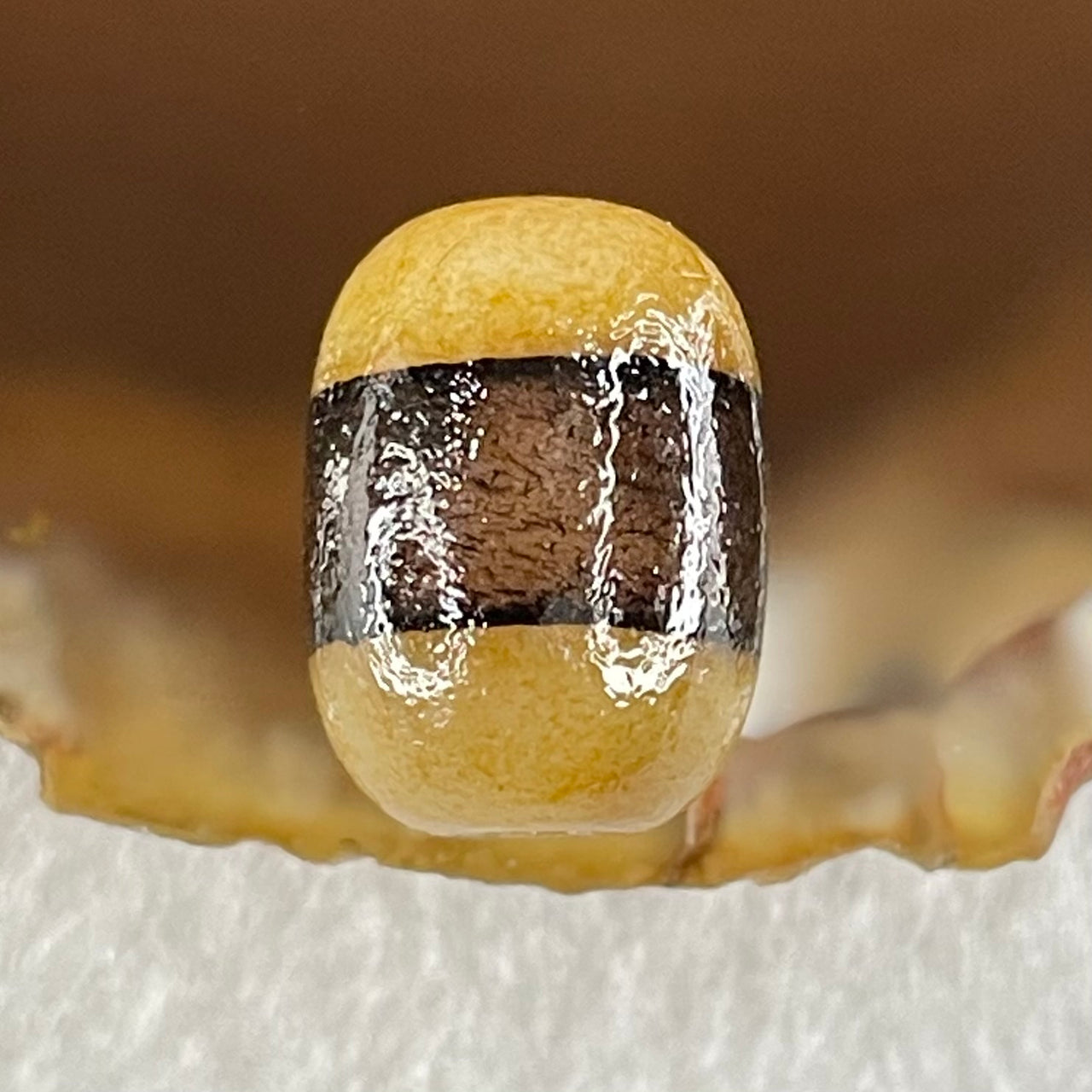 Natural Powerful Tibetan Old Oily Agate 1 Lines Dzi Bead Heavenly Master (Tian Zhu) 2.48g 14.0 by 10.5mm - Huangs Jadeite and Jewelry Pte Ltd