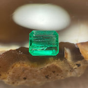 Natural Colombia Vivid Green Emerald (Beryl) Cut-Cornered Rectangular Step cut 0.46ct 5.3 by 4.6 by 2.4mm - Huangs Jadeite and Jewelry Pte Ltd