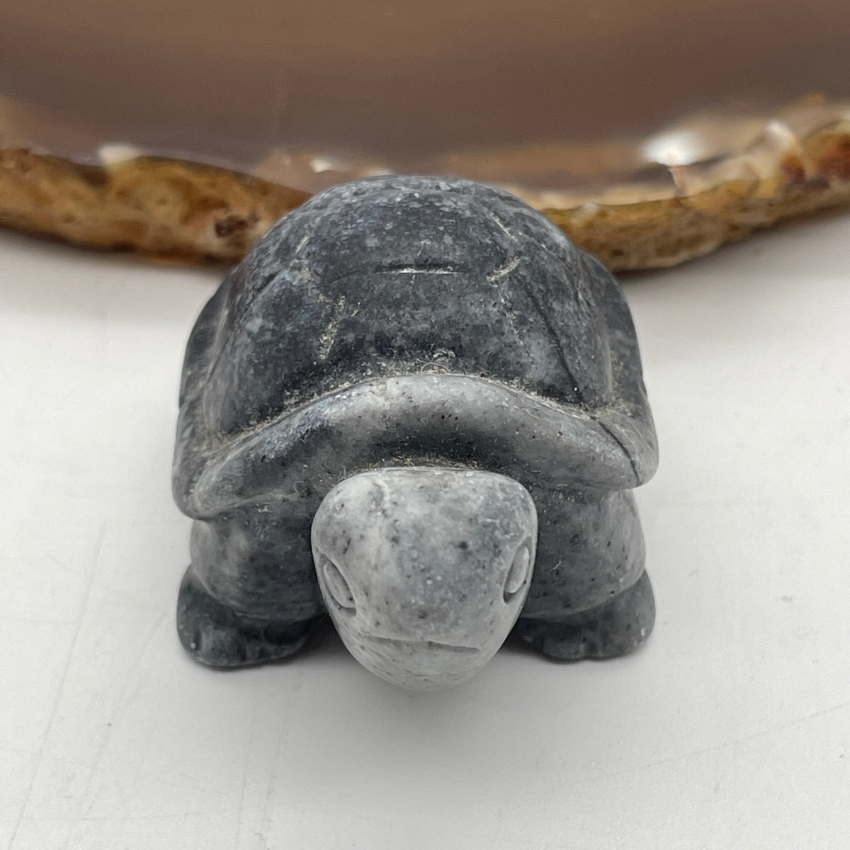 Natural Picasso Stone Turtle Mini Display Specimen | (47.34g | 52.0 x 32.5 x 26.5mm Dimensions | Root & Solar Plexus Chakra Synergy, Longevity Anchor, Creative Focus & Mindful Feng Shui Catalyst)