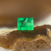 Natural Colombia Vivid Green Emerald (Beryl) Cut-Cornered Rectangular Step cut 0.37ct 4.7 by 3.4 by 2.6mm - Huangs Jadeite and Jewelry Pte Ltd