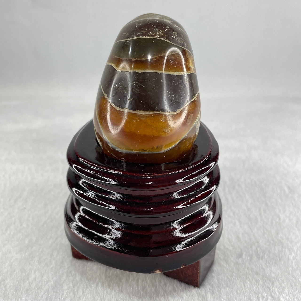 Natural Ammonite Ammonoid Fossil with Wooden Stand 285.7g 89.7 by 67.0 by 98.5mm - Huangs Jadeite and Jewelry Pte Ltd