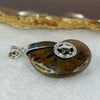 Natural Ammolite Fossil In Sliver Pendent/Charm 14.89g 31.7 by 26.4 by 9.8mm - Huangs Jadeite and Jewelry Pte Ltd