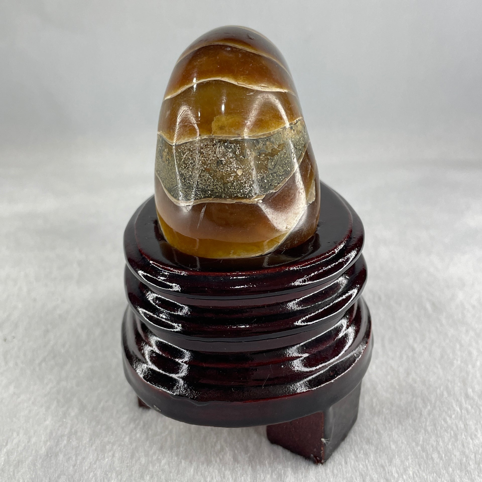 Natural Ammonite Ammonoid Fossil with Wooden Stand 288.6g 88.8 by 69.5 by 101.7mm - Huangs Jadeite and Jewelry Pte Ltd