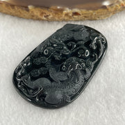 Type A Opaque to Partial Translucent Black Omphacite Jadeite Pixiu Pair with Coins Pendant 25.77g 57.1 by 35.4 by 9.2mm - Huangs Jadeite and Jewelry Pte Ltd