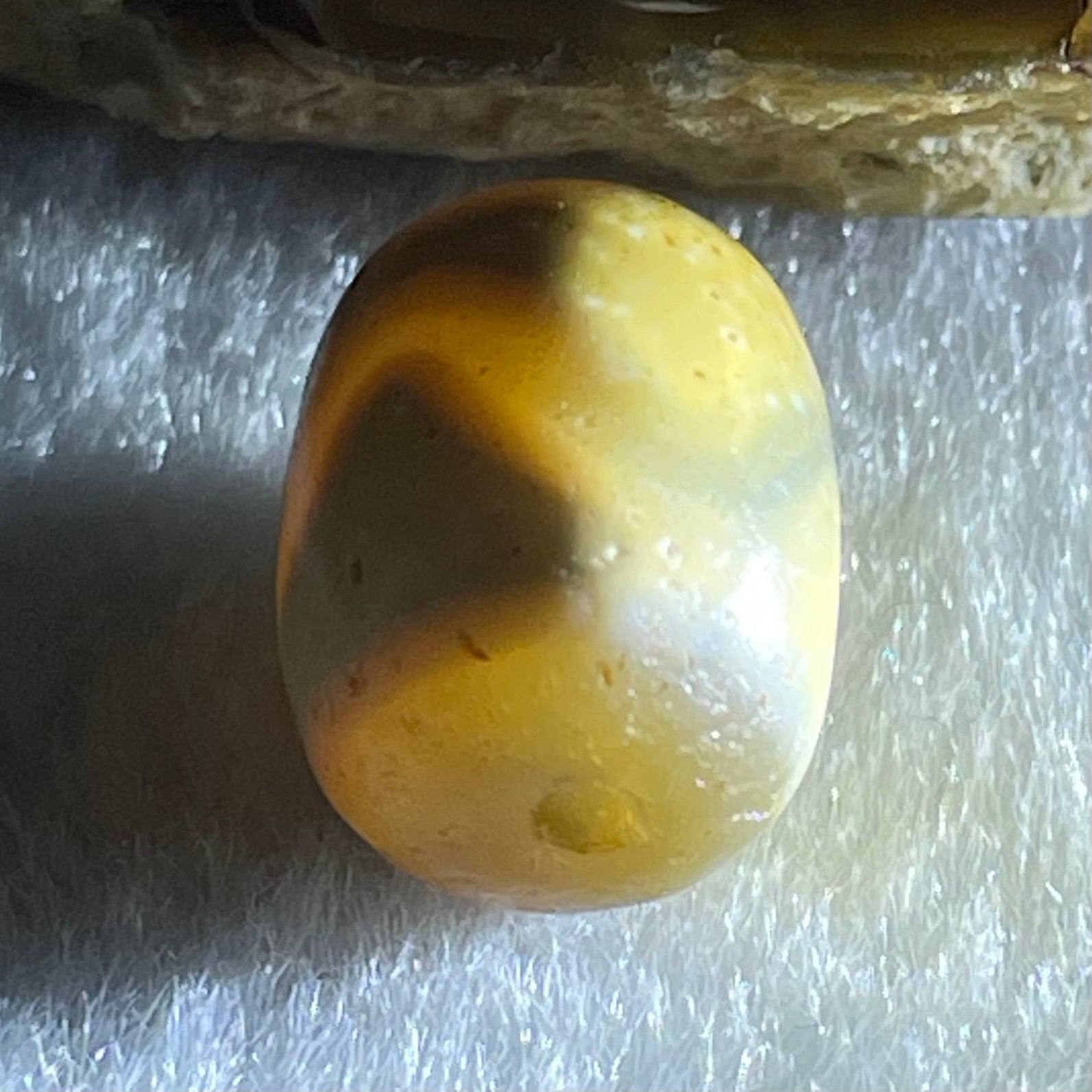Natural Powerful Tibetan Old Oily Agate Tiger Tooth Daluo Dzi Bead Heavenly Master (Tian Zhu) 虎呀天诛 2.79g 14.1 by 11.2mm - Huangs Jadeite and Jewelry Pte Ltd