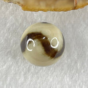 Natural Powerful Tibetan Old Oily Yellowish White with Black Agate Tiger Tooth Daluo Dzi Bead Heavenly Master (Tian Zhu) 虎呀天诛 3.42g 13.7mm - Huangs Jadeite and Jewelry Pte Ltd