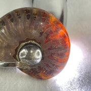 Natural Ammonite Fossil in Silver Pendant 61.42g 56.0 by 44.4 by 18.4mm - Huangs Jadeite and Jewelry Pte Ltd