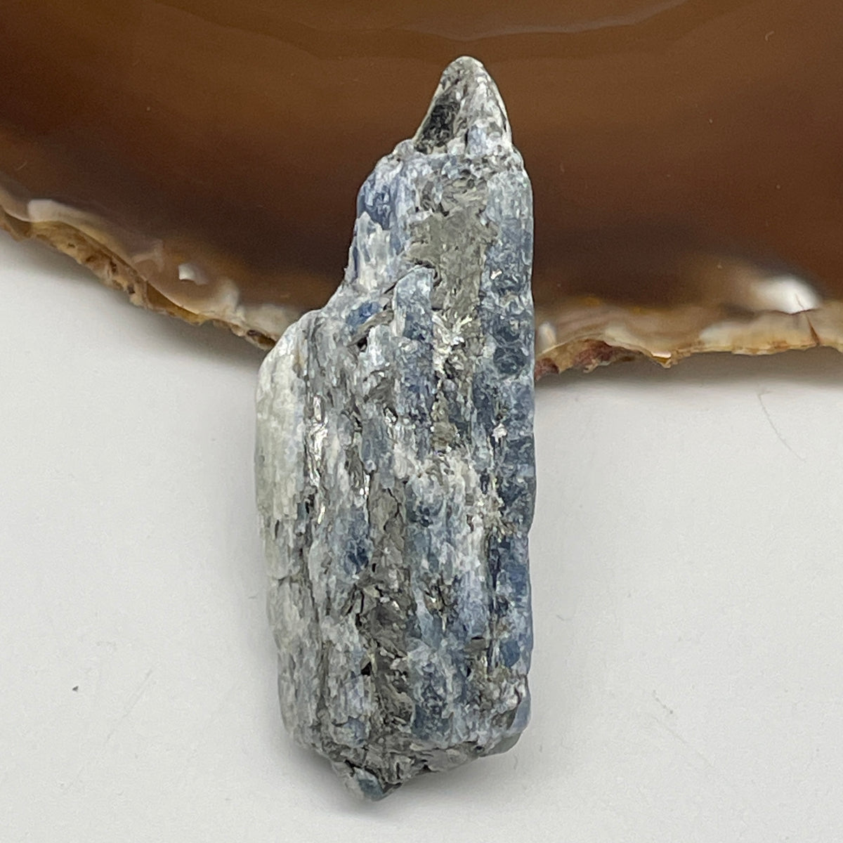 Natural Kyanite Rough Mini Display | (50.77g | 70.5 x 28.8 x 18.2mm | Alignment Catalyst, "Stone of Authentic Expression & Mental Clarity" Executive Focus Anchor, Feng Shui Harmony & Truth Catalyst)