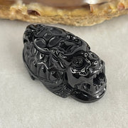 Type A Opaque Black Omphacite Jadeite Dragon Turtle with Coin Pendant Charm 12.45g 29.7 by 18.0 by 15.2mm - Huangs Jadeite and Jewelry Pte Ltd