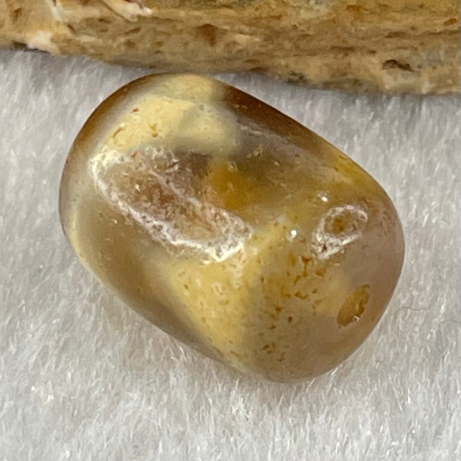 Natural Powerful Tibetan Old Oily Agate Tiger Tooth Daluo Dzi Bead Heavenly Master (Tian Zhu) 虎呀天诛 2.38g 13.6 by 10.3mm - Huangs Jadeite and Jewelry Pte Ltd