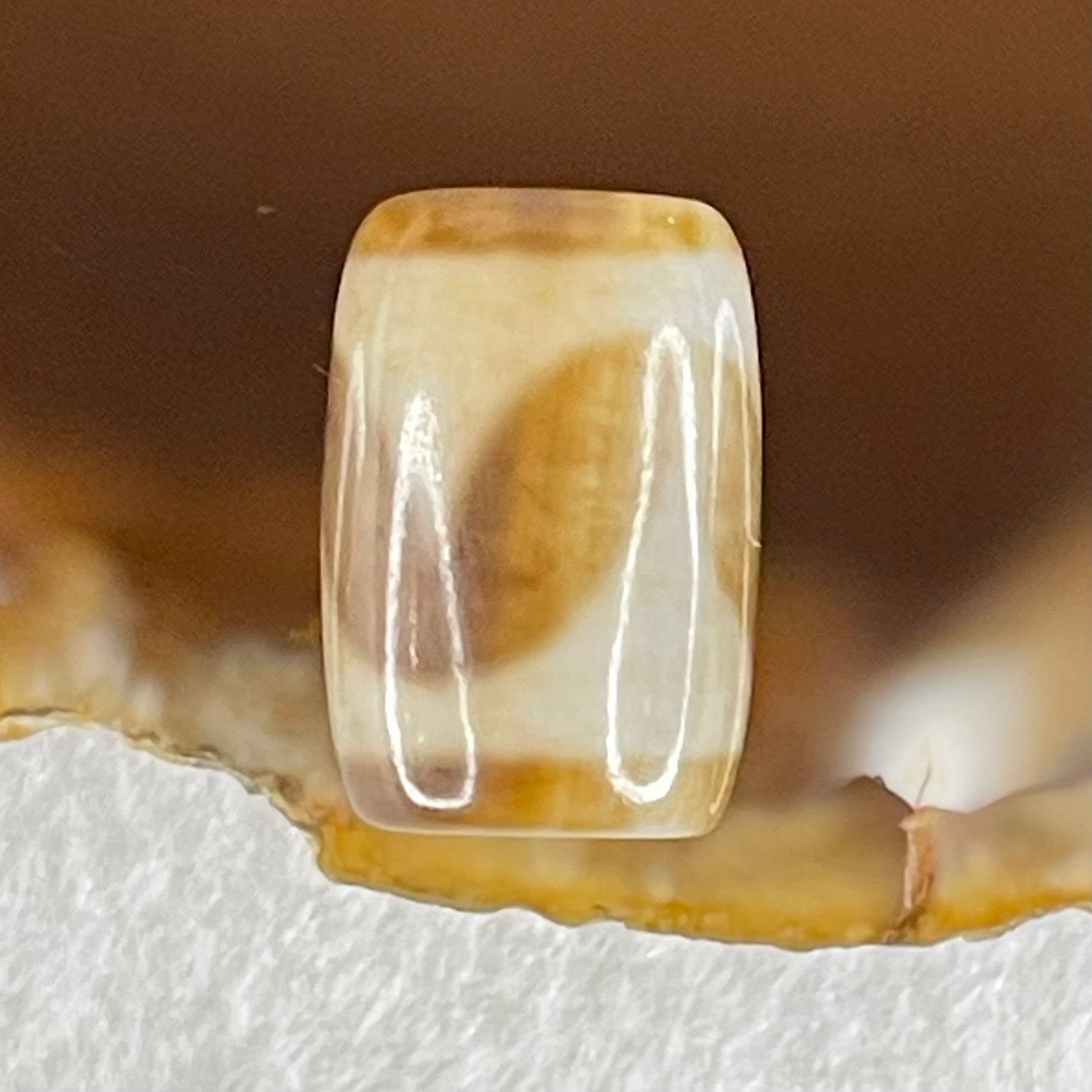 Natural Powerful Tibetan Old Oily Agate Tiger Tooth Daluo Dzi Bead Heavenly Master (Tian Zhu) 虎呀天诛 3.33g 15.9 by 10.7mm - Huangs Jadeite and Jewelry Pte Ltd