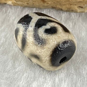 Natural Powerful Tibetan Old Oily Agate Tortoise Shell 6 Hearts Dzi Bead Heavenly Master (Tian Zhu) 龟壳六心天珠 2.11g 13.5 by 10.2mm - Huangs Jadeite and Jewelry Pte Ltd