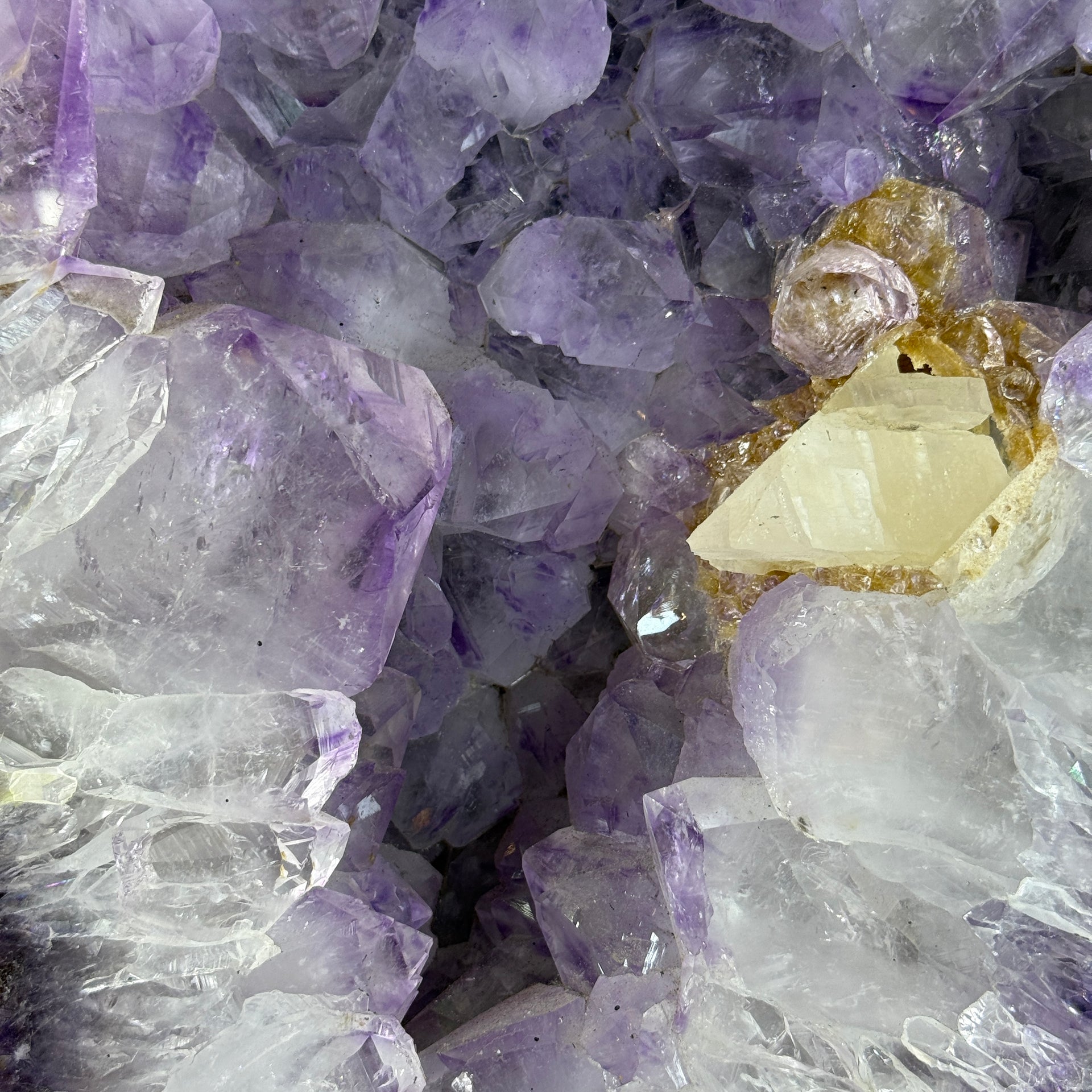 Natural Tree Shape Amethyst Cave with Wooden Stand Display 27,441.2g 410 by 235.0 by 505.0mm - Huangs Jadeite and Jewelry Pte Ltd