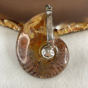 Natural Ammonite Fossil in Silver Pendant 32.29g 47.0 by 38.4 by 15.5mm - Huangs Jadeite and Jewelry Pte Ltd