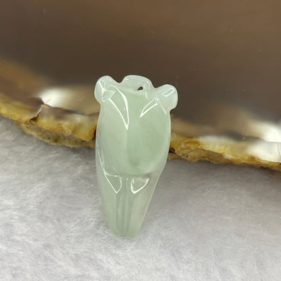 Type A Light Green Jadeite Cicada 24.3 by 12.2 by 6.0mm 2.31g - Huangs Jadeite and Jewelry Pte Ltd
