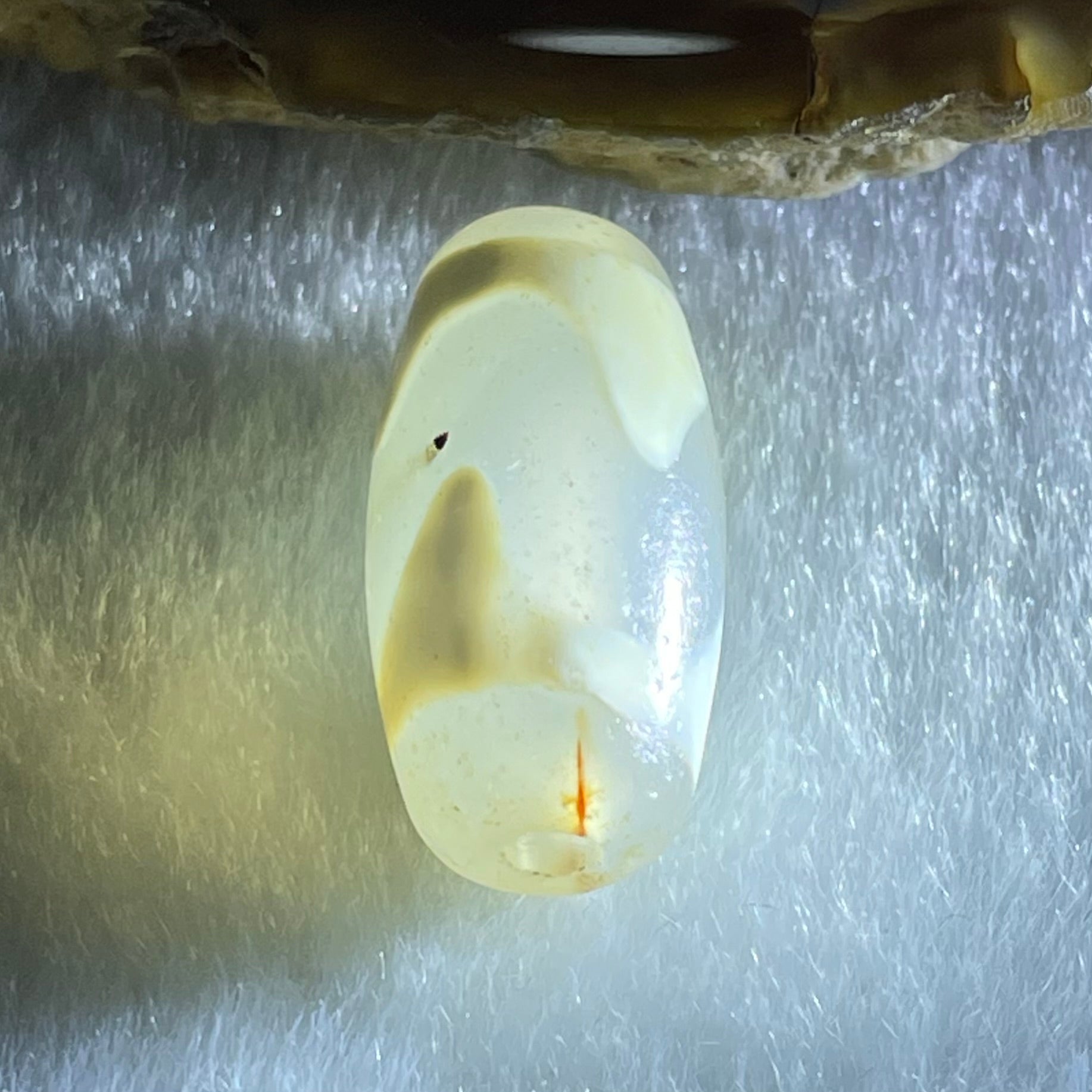 Natural Powerful Tibetan Old Oily Agate Tiger Tooth Daluo Dzi Bead Heavenly Master (Tian Zhu) 虎呀天诛 2.98g 20.1 by 10.3mm - Huangs Jadeite and Jewelry Pte Ltd