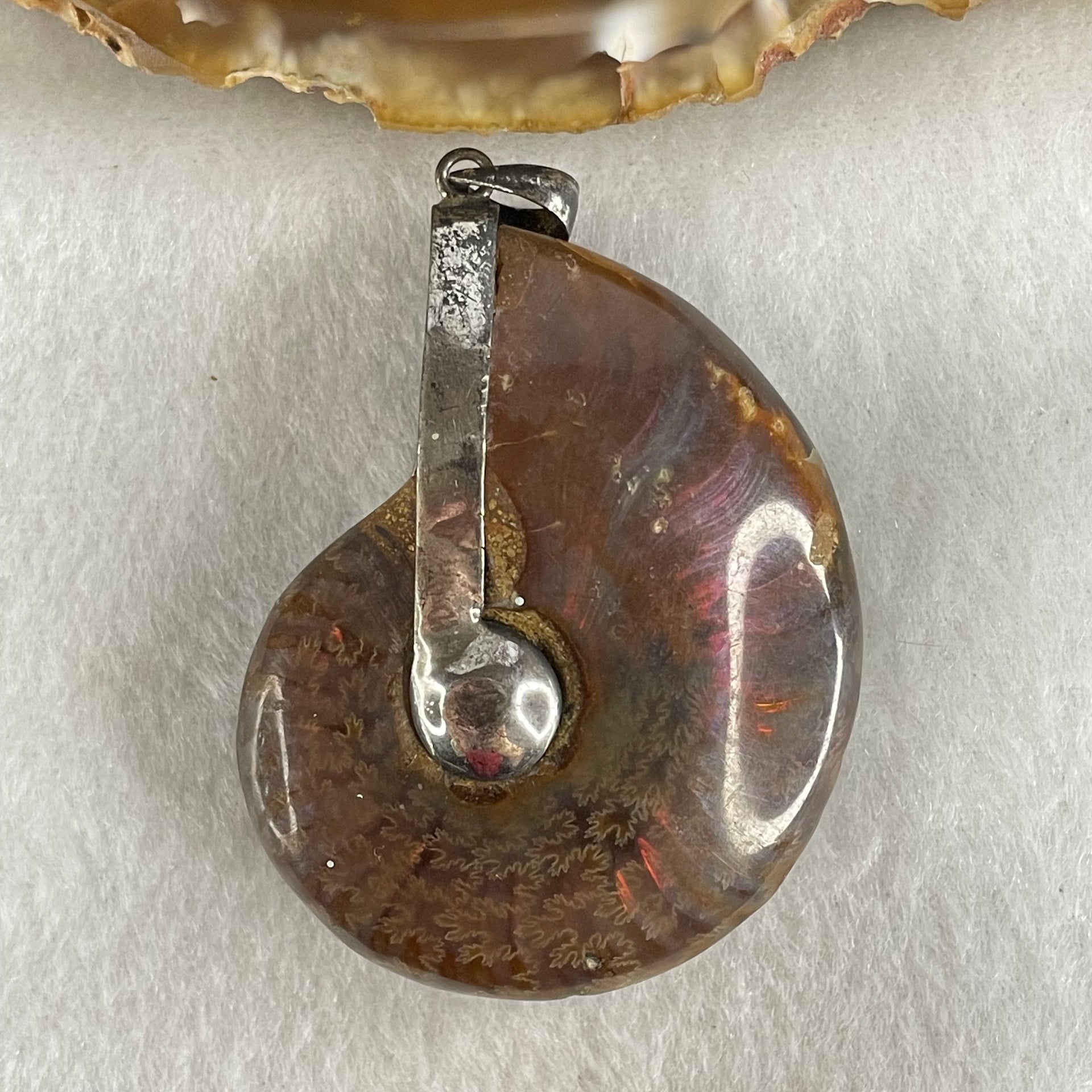 Natural Ammonite Fossil in Silver Pendant 32.29g 47.0 by 38.4 by 15.5mm - Huangs Jadeite and Jewelry Pte Ltd