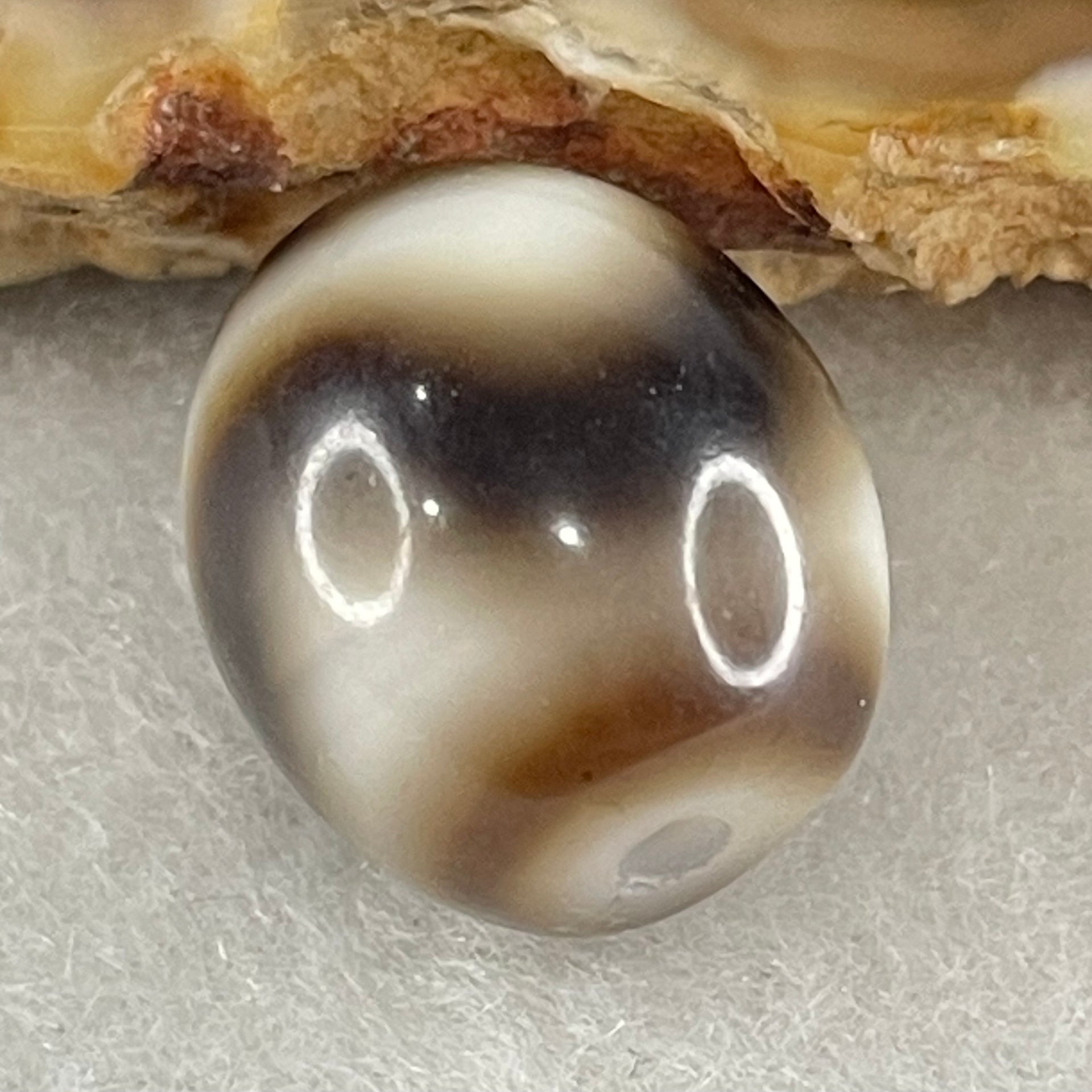 Natural Powerful Tibetan Old Oily Agate Tiger Tooth Daluo Dzi Bead Heavenly Master (Tian Zhu) 2.86g 13.6 by 12.0mm - Huangs Jadeite and Jewelry Pte Ltd