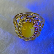 Natural Butterscotch Amber With Crystals in S925 Sliver Gold Color Ring (Adjustable Size) 3.68g 9.6 by 7.2 by 6.0mm - Huangs Jadeite and Jewelry Pte Ltd