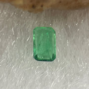 Natural Colombia Vivid Green Emerald (Beryl) Cut-Cornered Rectangular Step cut 0.06ct 3.3 by 2.0 by 1.3mm - Huangs Jadeite and Jewelry Pte Ltd
