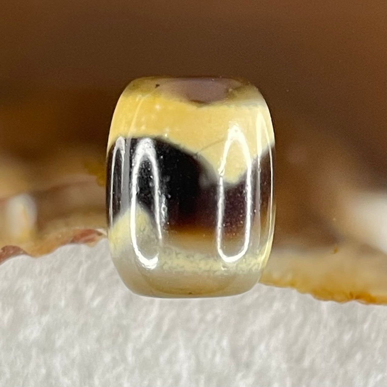 Natural Powerful Tibetan Old Oily Agate Tiger Tooth Daluo Dzi Bead Heavenly Master (Tian Zhu) 虎呀天诛 2.41g 13.3 by 10.4mm - Huangs Jadeite and Jewelry Pte Ltd