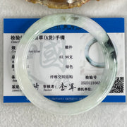 Type A Light Green with Green piao Hua Floral Jadeite Bangle 45.49g Inner Diameter 56.9mm 9.6 by 9.3mm (Internal Lines) - Huangs Jadeite and Jewelry Pte Ltd