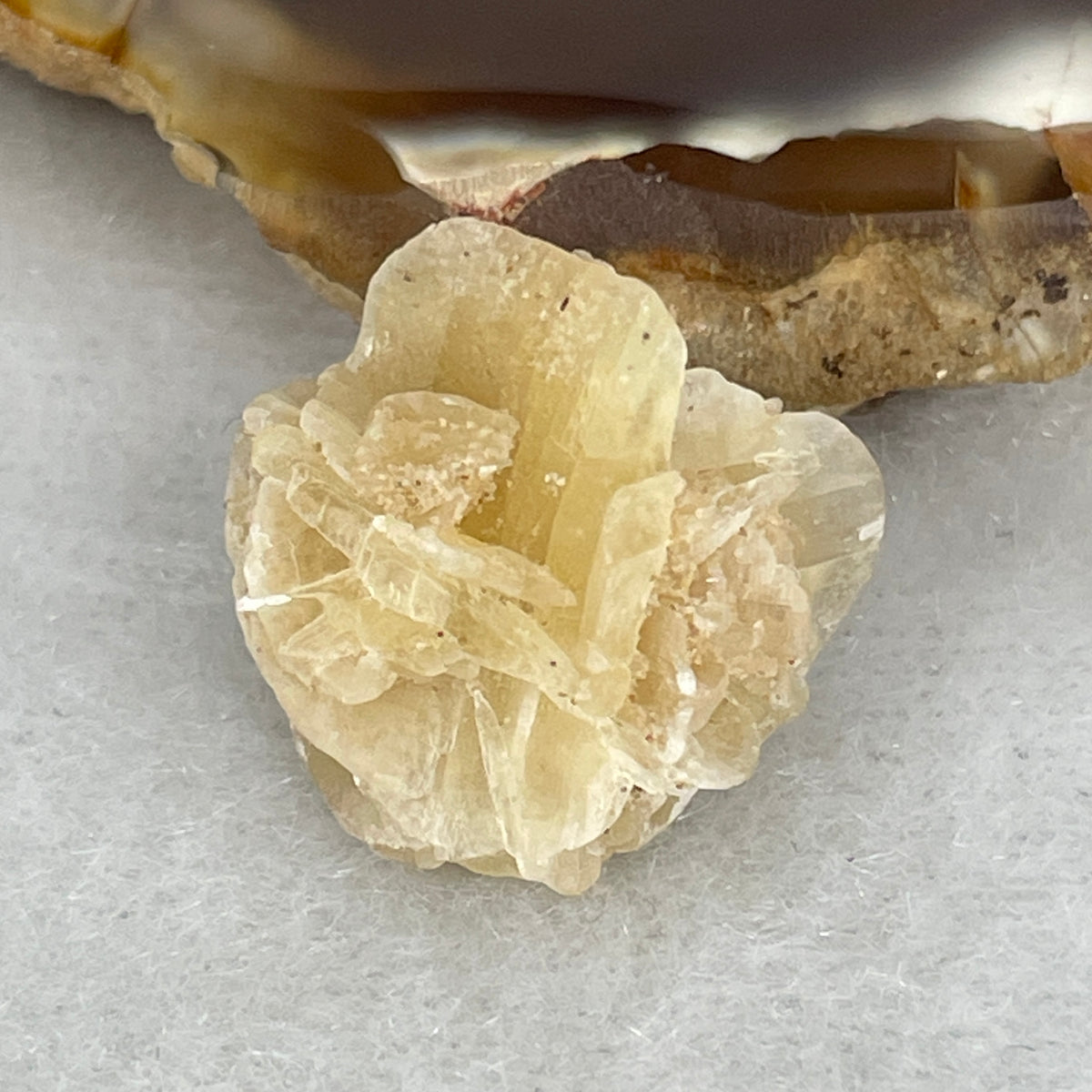 Natural Desert Rose Selenite Specimen | Miniature Sand Rose Rosette Pocket Crystal (2.3g | 16.5 x 15.7 x 10.0mm)