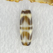 Natural Powerful Tibetan Old Oily Dark Brown White Yellow Agate Double Tiger Tooth Daluo Dzi Bead Heavenly Master (Tian Zhu) 双虎呀天诛 10.13g 37.0 by 13.3mm - Huangs Jadeite and Jewelry Pte Ltd