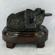 Rare Natural Tibetan Meteorite Tektite 3 Legged Toad with Wooden Stand Display 2,345.1g 170.0 by 118.0 by 125.0mm - Huangs Jadeite and Jewelry Pte Ltd