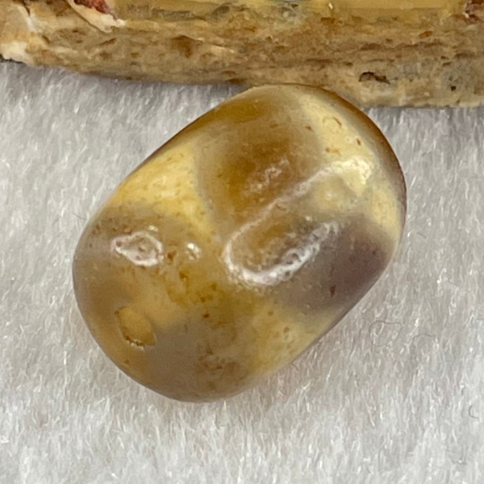 Natural Powerful Tibetan Old Oily Agate Tiger Tooth Daluo Dzi Bead Heavenly Master (Tian Zhu) 虎呀天诛 2.38g 13.6 by 10.3mm - Huangs Jadeite and Jewelry Pte Ltd