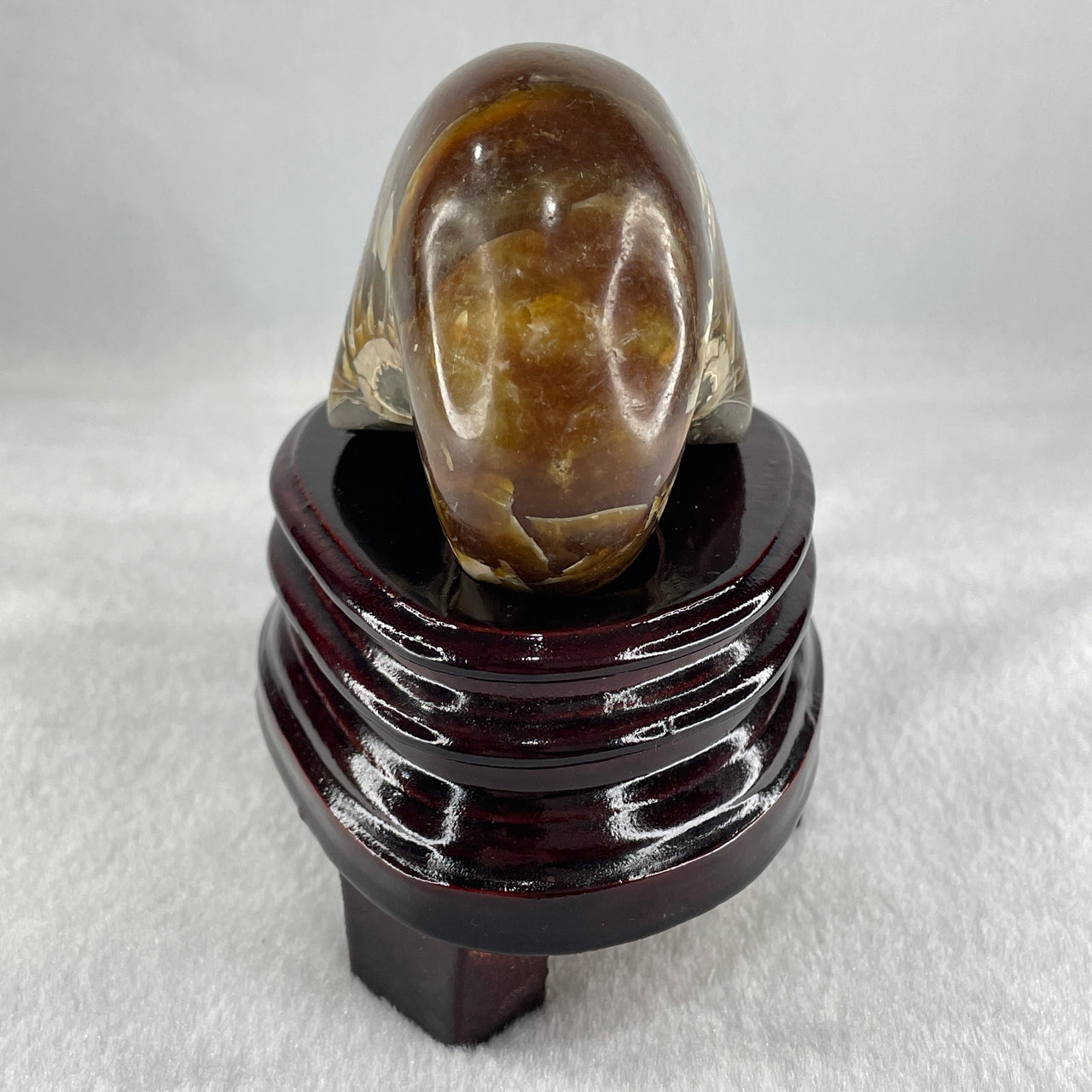 Natural Ammonite Ammonoid Fossil with Wooden Stand 490.3g 104.2 by 81.4 by 110.0mm - Huangs Jadeite and Jewelry Pte Ltd