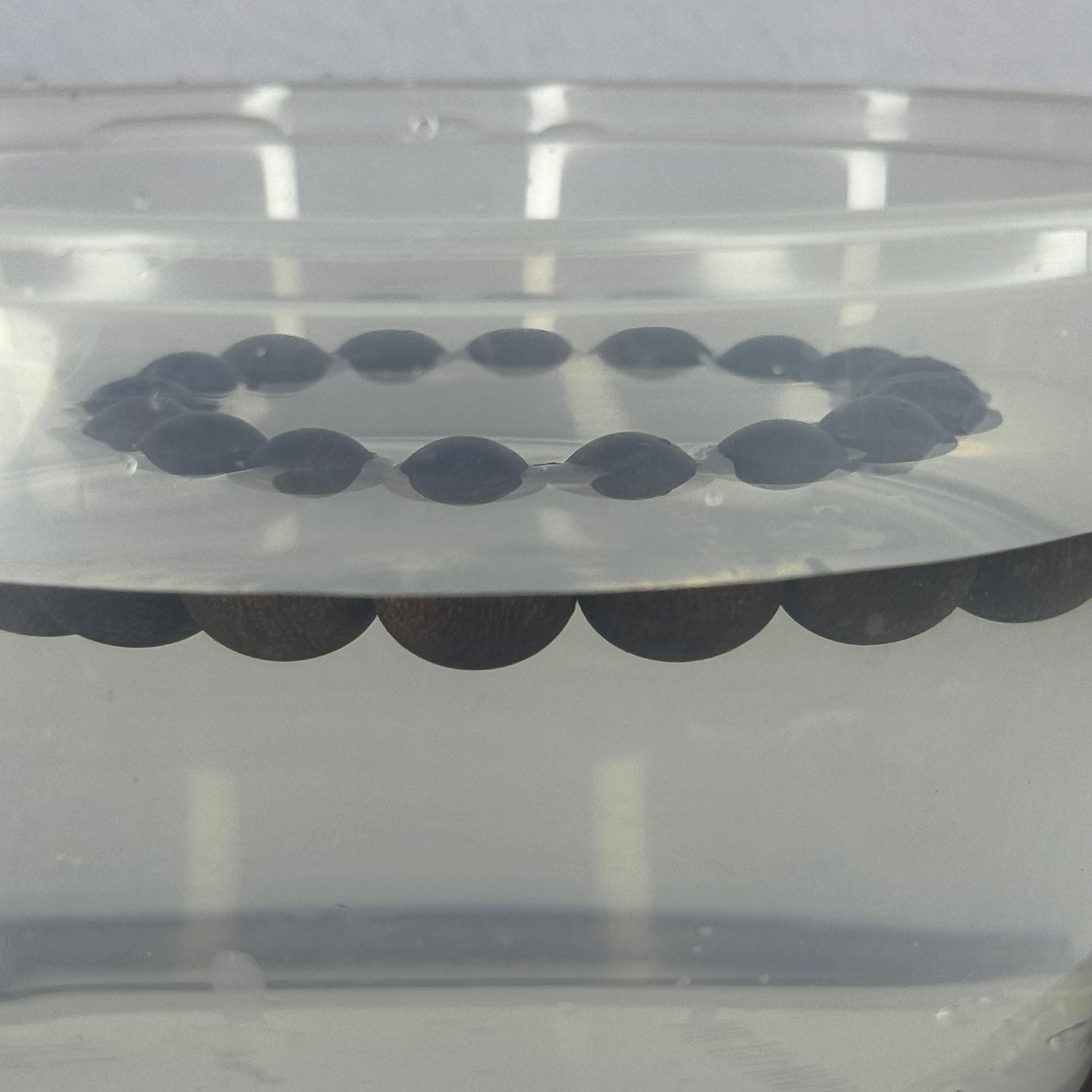 Natural China Hainan Agarwood Beads Bracelet 中国海南沉香木手链（Half Sinking) 10.67g 18cm 12.8mm 17 Beads - Huangs Jadeite and Jewelry Pte Ltd