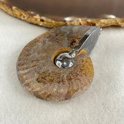 Natural Ammonite Fossil in Silver Pendant 71.05g 62.6 by 51.9 by 17.4mm - Huangs Jadeite and Jewelry Pte Ltd