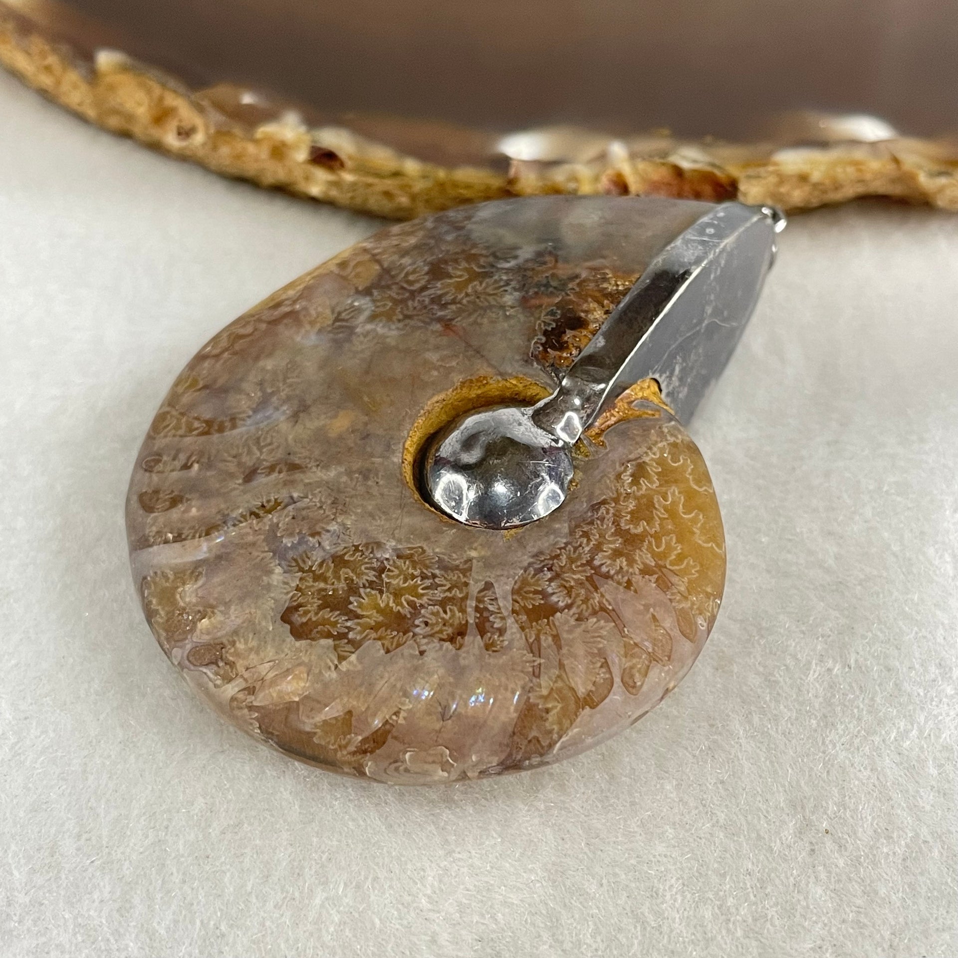 Natural Ammonite Fossil in Silver Pendant 71.05g 62.6 by 51.9 by 17.4mm - Huangs Jadeite and Jewelry Pte Ltd