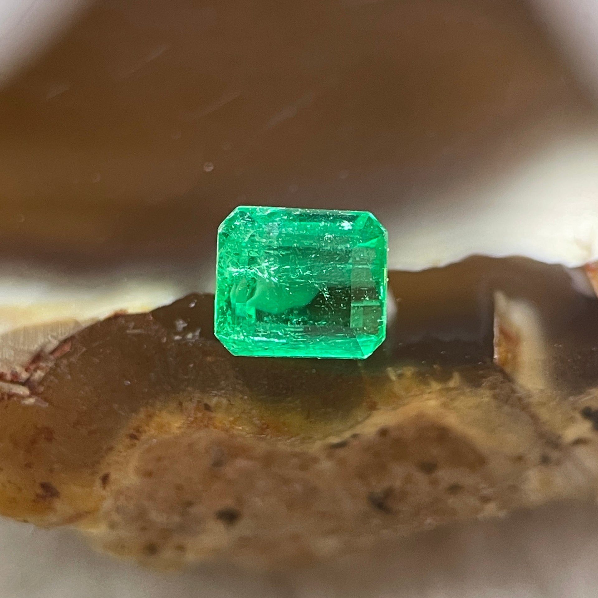 Natural Colombia Vivid Green Emerald (Beryl) Cut-Cornered Rectangular Step cut 0.40ct 4.3 by 3.7 by 2.8mm - Huangs Jadeite and Jewelry Pte Ltd