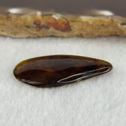 Natural Amber for Setting 1.46g 32.7 by 18.6 by 4.7mm - Huangs Jadeite and Jewelry Pte Ltd