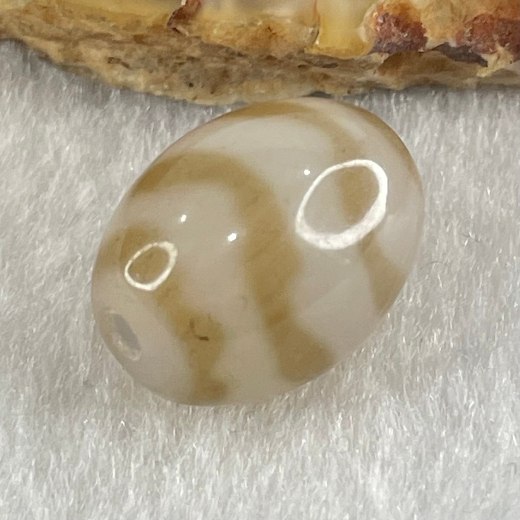 Natural Powerful Tibetan Old Oily Agate Double Tiger Tooth Daluo Dzi Bead Heavenly Master (Tian Zhu) 虎呀天诛 3.27g 15.9 by 12.2mm - Huangs Jadeite and Jewelry Pte Ltd