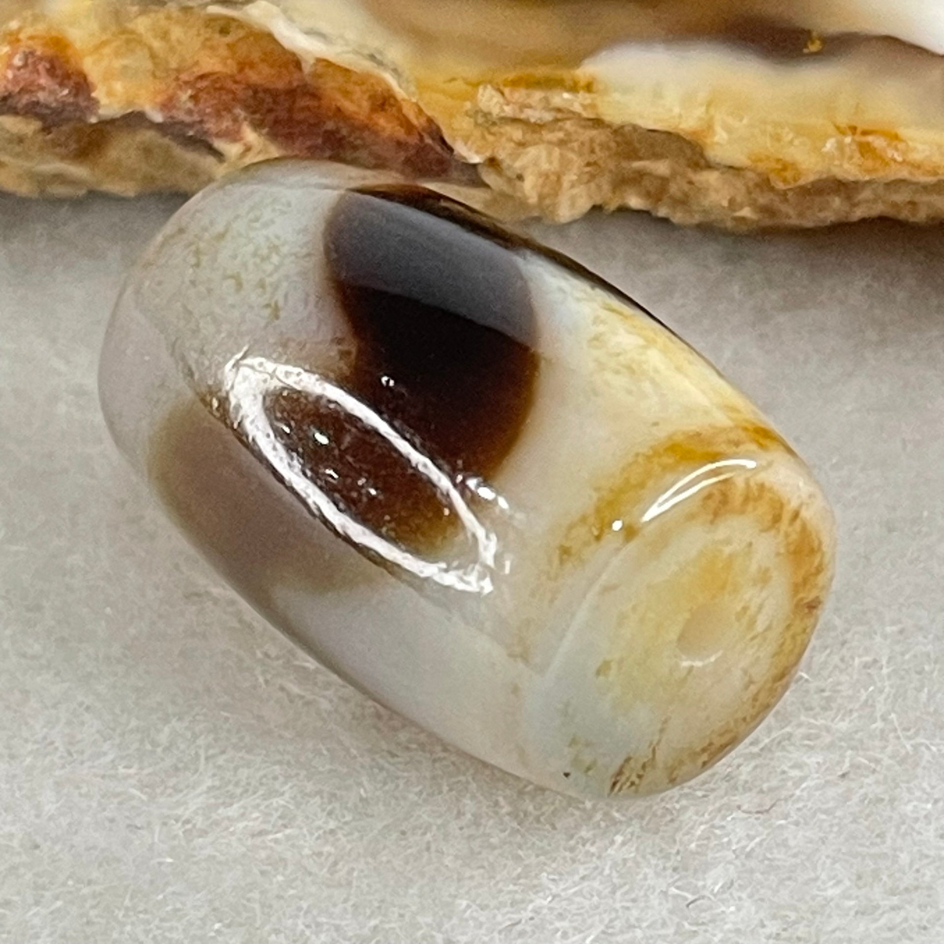 Natural Powerful Tibetan Old Oily Agate Tiger Tooth Daluo Dzi Bead Heavenly Master (Tian Zhu) 虎呀天诛 4.90g 18.7 by 12.4mm - Huangs Jadeite and Jewelry Pte Ltd