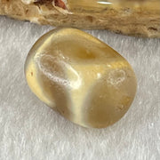 Natural Powerful Tibetan Old Oily Agate Tiger Tooth Daluo Dzi Bead Heavenly Master (Tian Zhu) 虎呀天诛 2.46g 13.4 by 10.7mm - Huangs Jadeite and Jewelry Pte Ltd