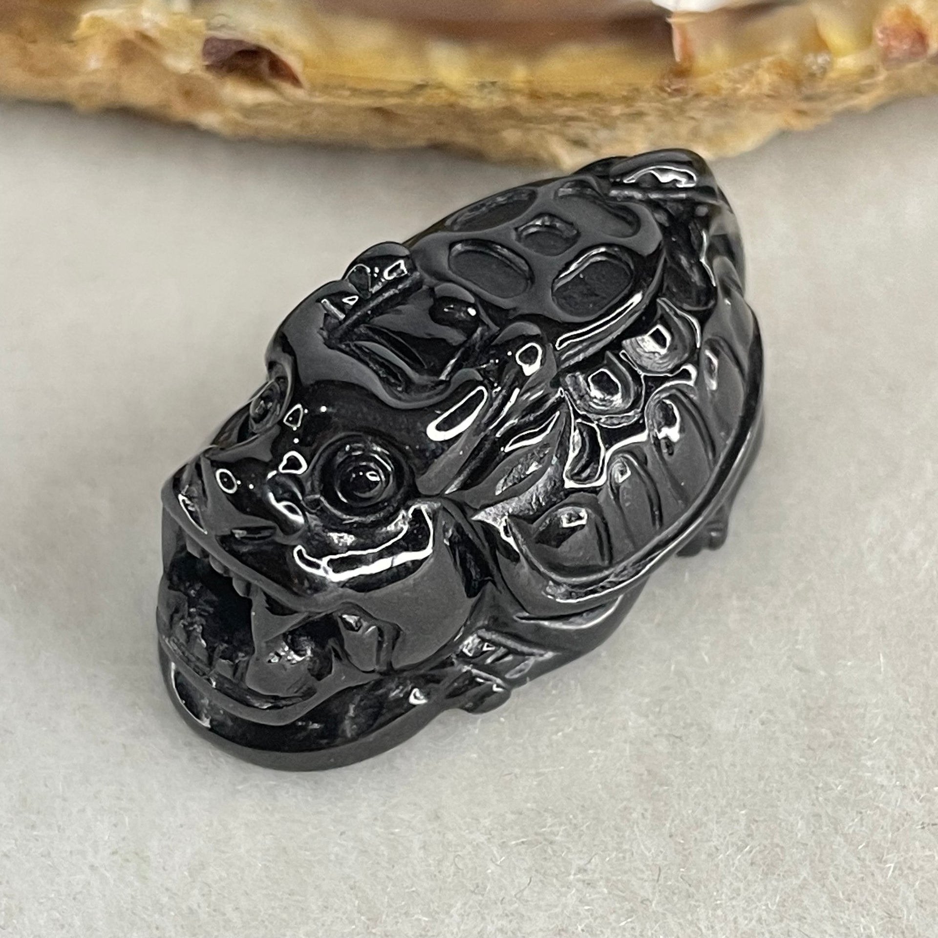 Type A Opaque Black Omphacite Jadeite Dragon Turtle with Coin Pendant Charm 12.45g 29.7 by 18.0 by 15.2mm - Huangs Jadeite and Jewelry Pte Ltd