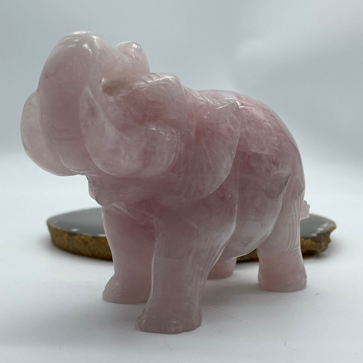 Natural Rose Quartz Elephant Display | (638.44g | 123.3 x 58.2 x 87.3mm | Catalyst, "Stone of Unconditional Love" Harmony & Relationship Magnet, Feng Shui Prosperity & Peace Symbol)